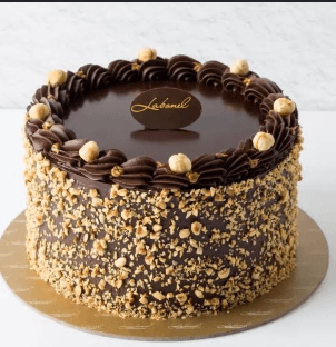 Chocolate Hazelnut cake real photograph 1
